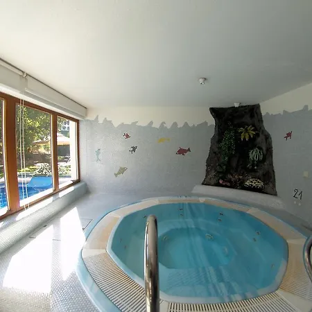 Montana ホテル 4*