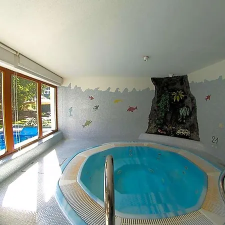 Montana Hotel Arzl im Pitztal