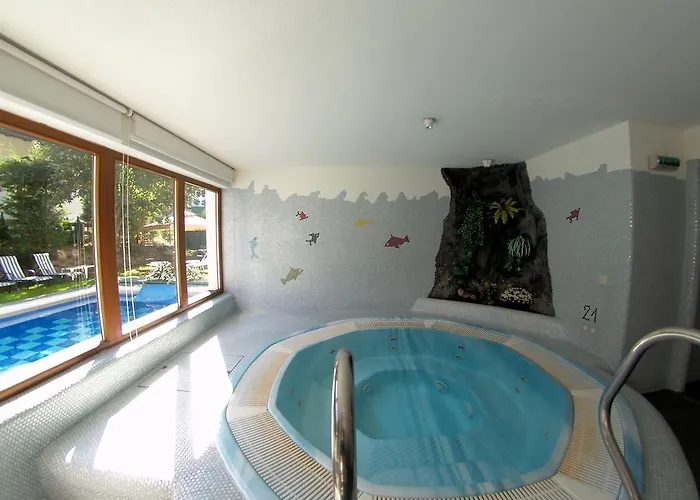 Montana Hotel 4*