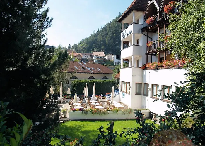 Hotel Montana 4*